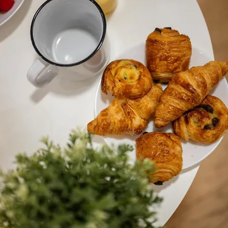 Le Castelosa - Au Coeur Du Vieux-nice